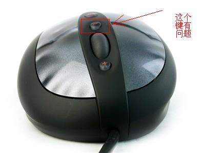 000047207.jpg