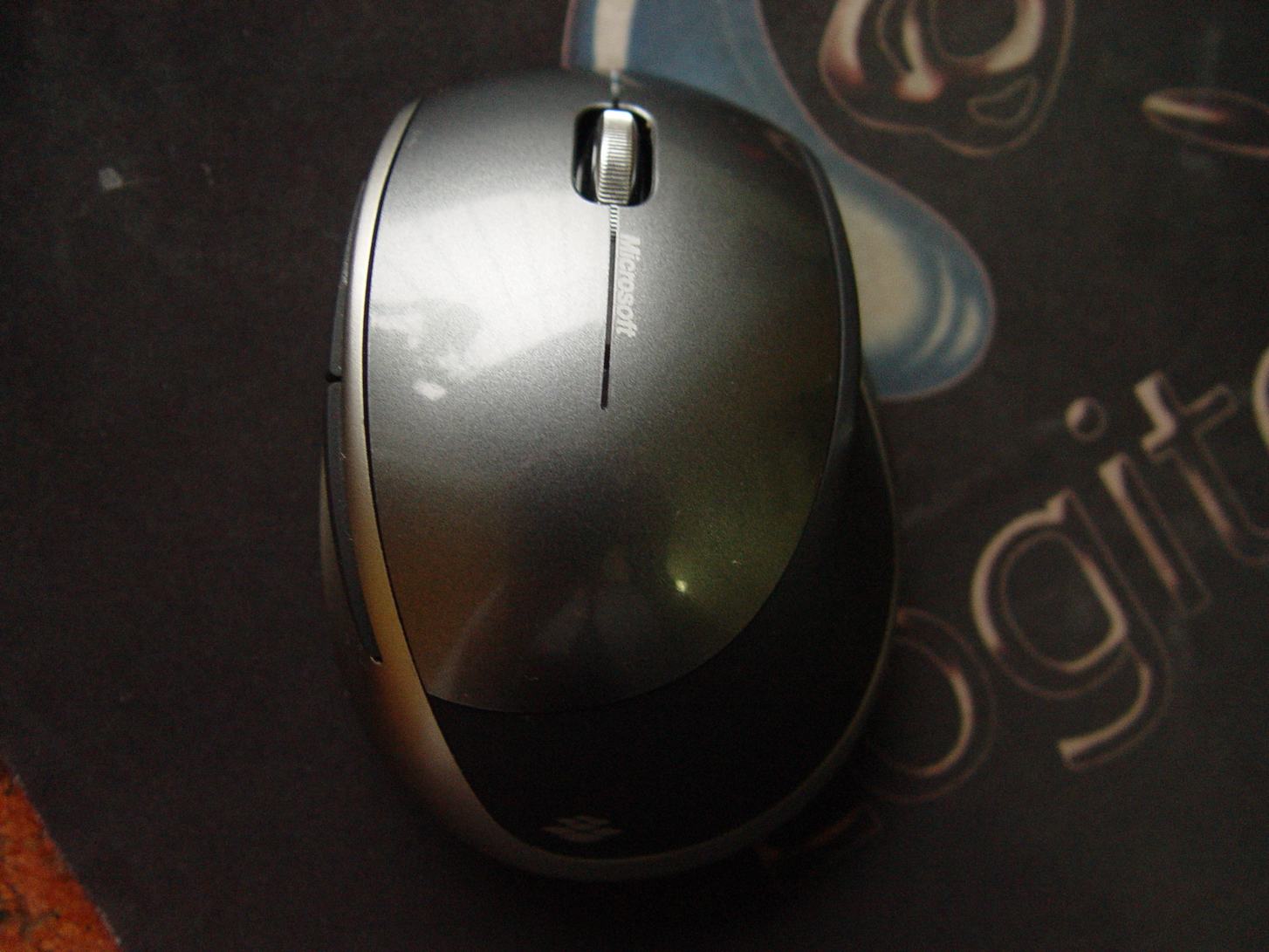 ���ѳ� ��л��λ�� ��΢��������Ӱʬ��һ��