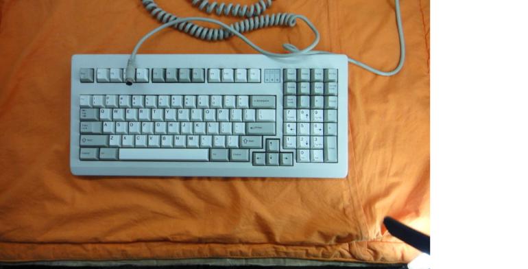 ��ɫ���͵�