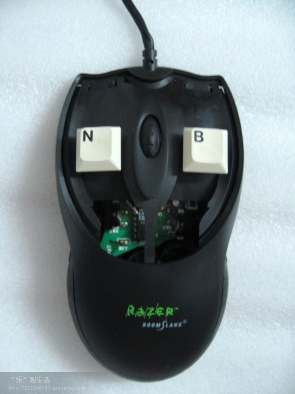 RAZER ֮ �������ƪ