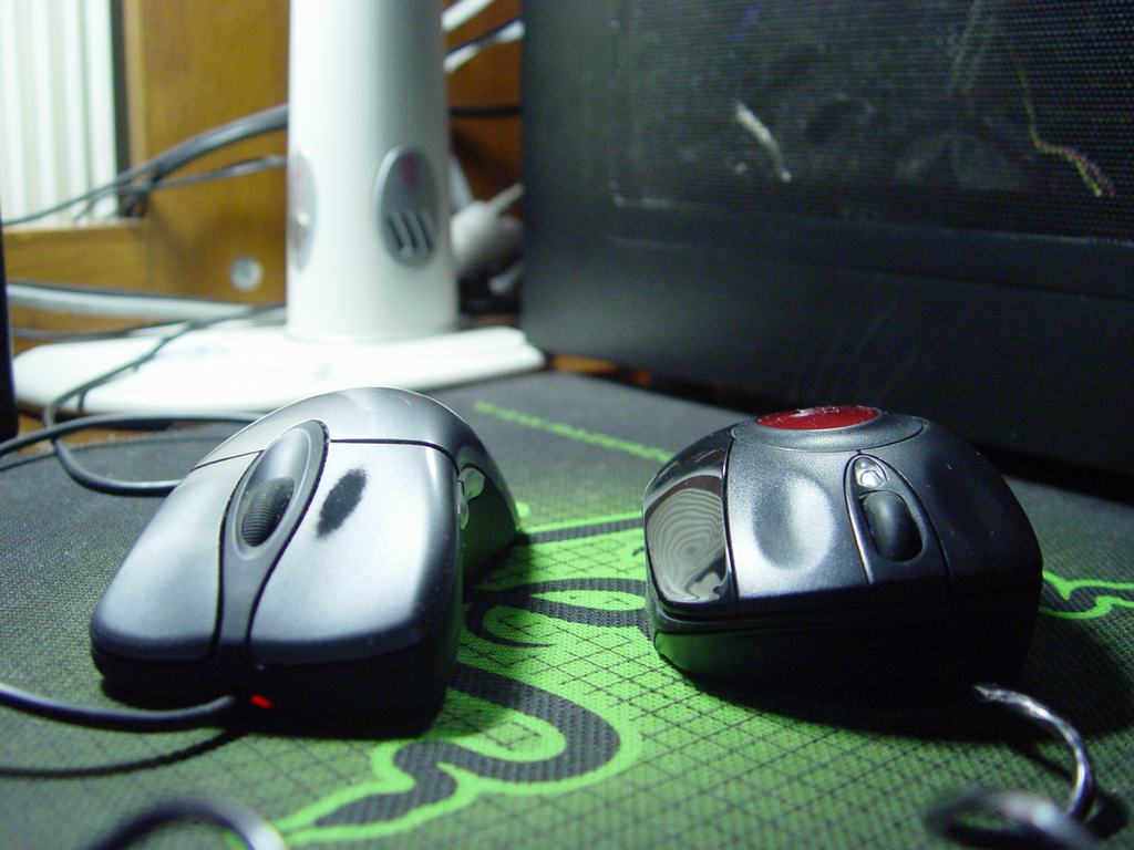 �ѳ��� ���� �������� Creative Fatal1ty 1010