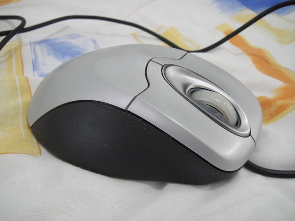 m_DSC01987.jpg