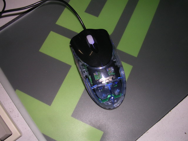 α����������NO���������п�RAZER����