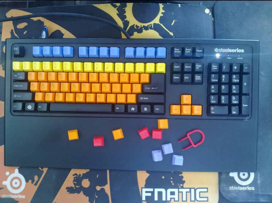 δ1.jpg