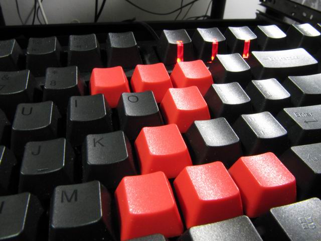 ��С���������������ʾ¼���ҵ���Щ������~~������ƪ��~~