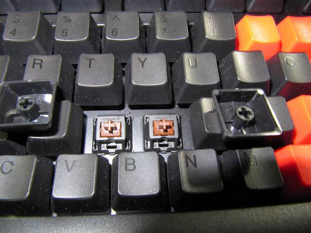 ��С���������������ʾ¼���ҵ���Щ������~~������ƪ��~~