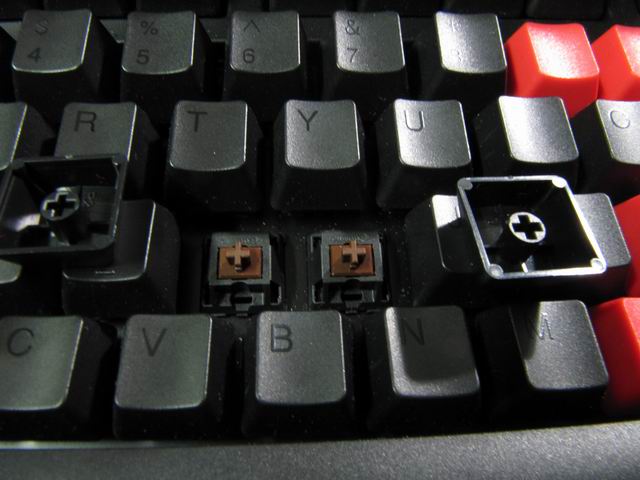 ��С���������������ʾ¼���ҵ���Щ������~~������ƪ��~~