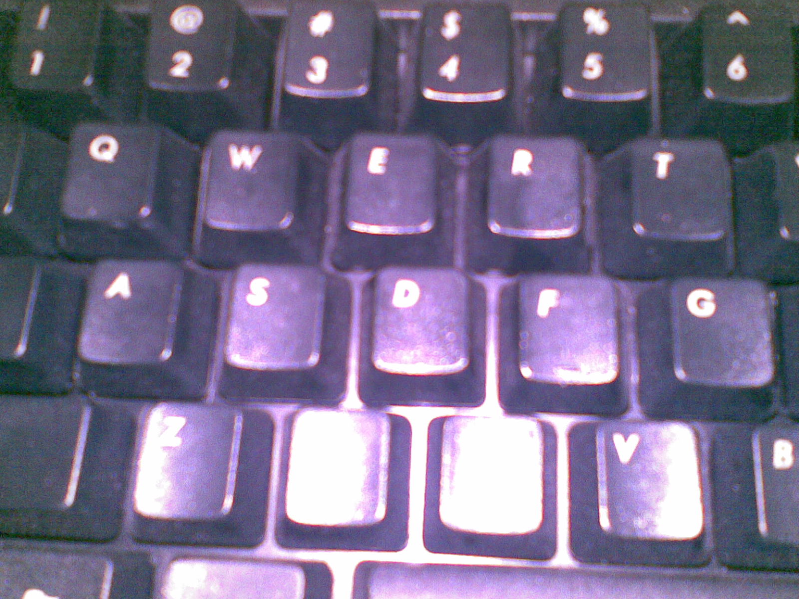 20100719_001.jpg