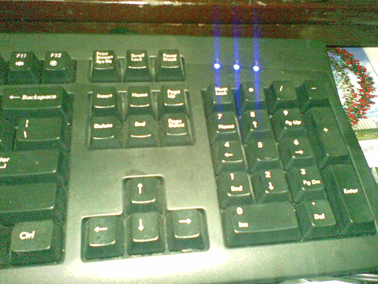 20100719_003.jpg