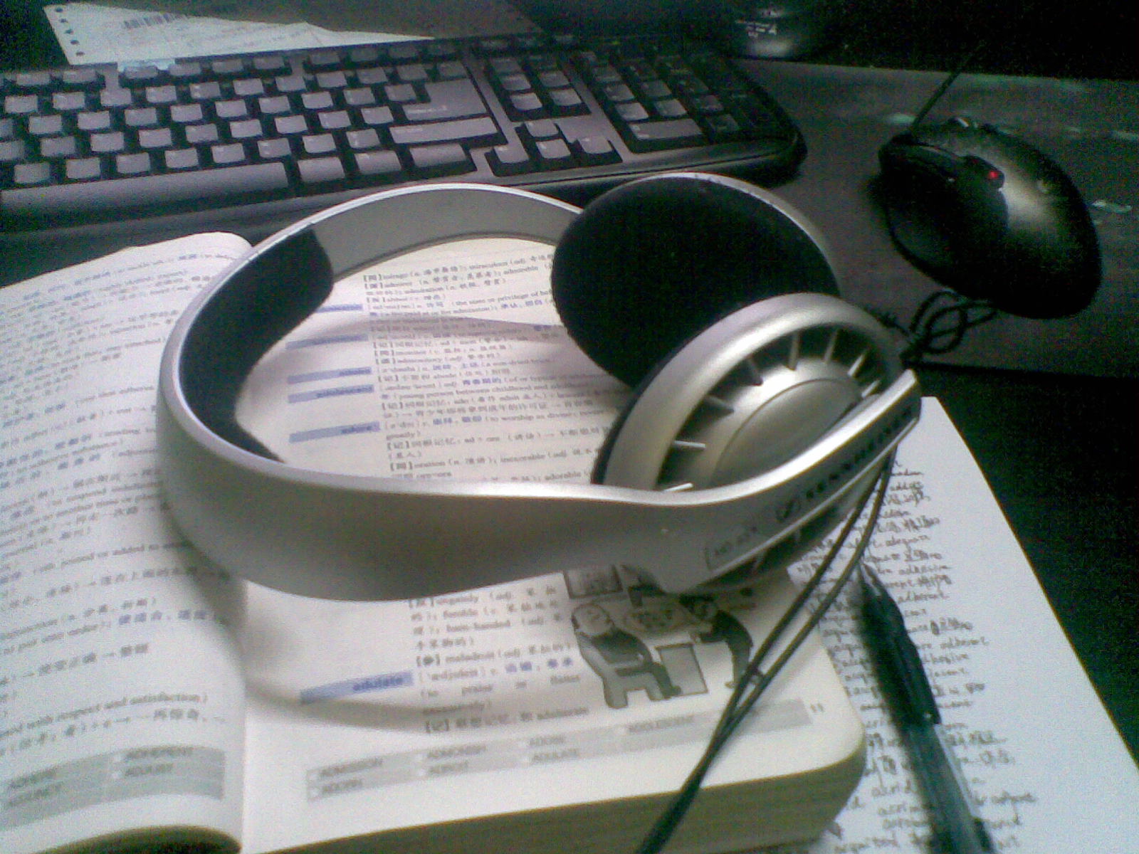 20100719.jpg