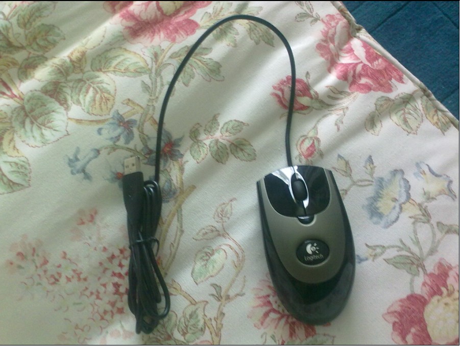 111.jpg