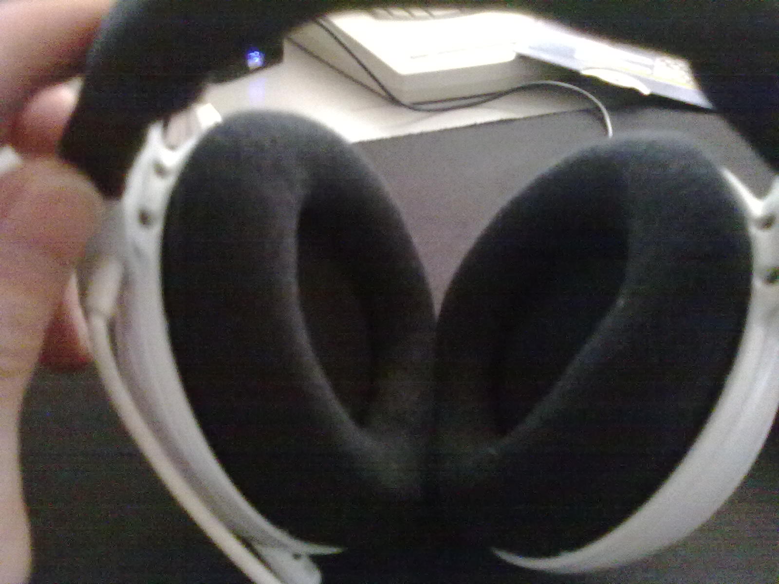 20100720317.jpg