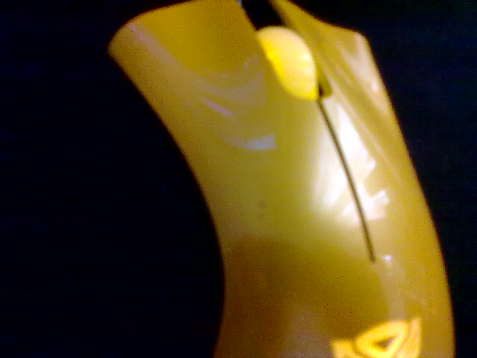 20100720311.jpg