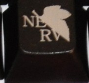 EVA  deleteλ��.jpg