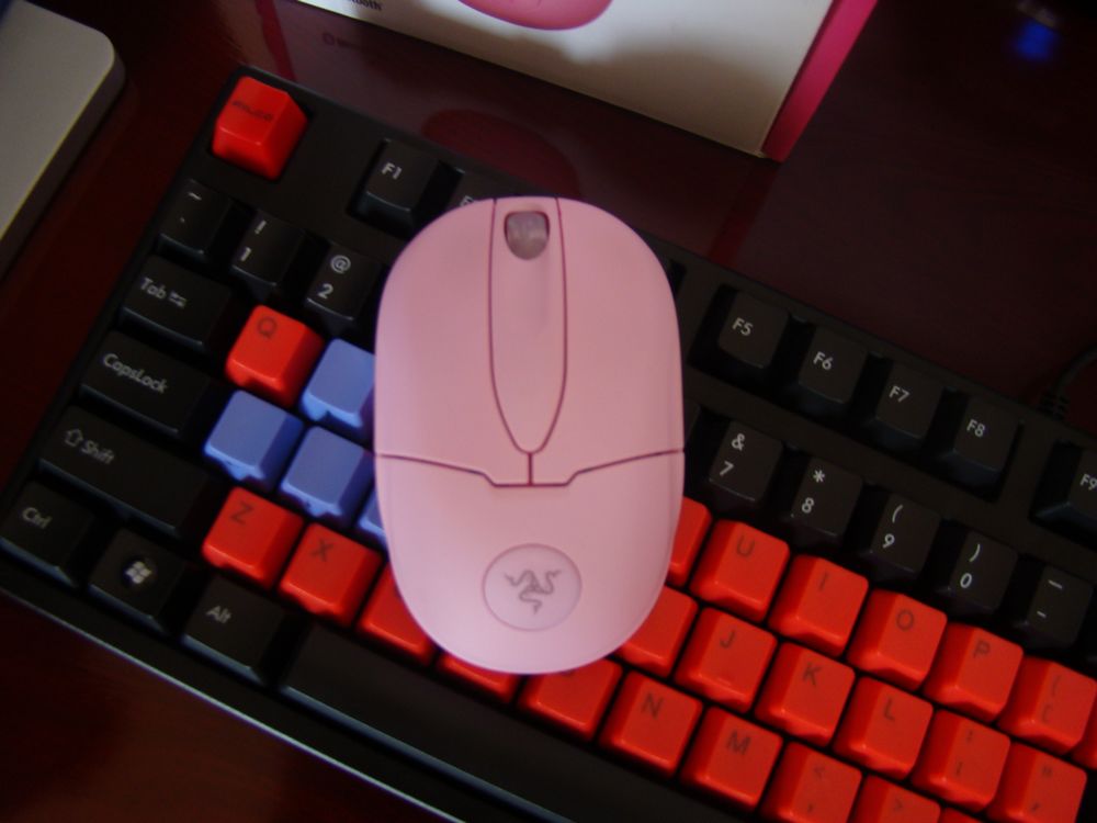 �ѳ�~~~~~~~~~~��