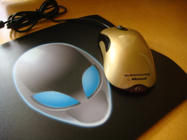 DSC02013.JPG