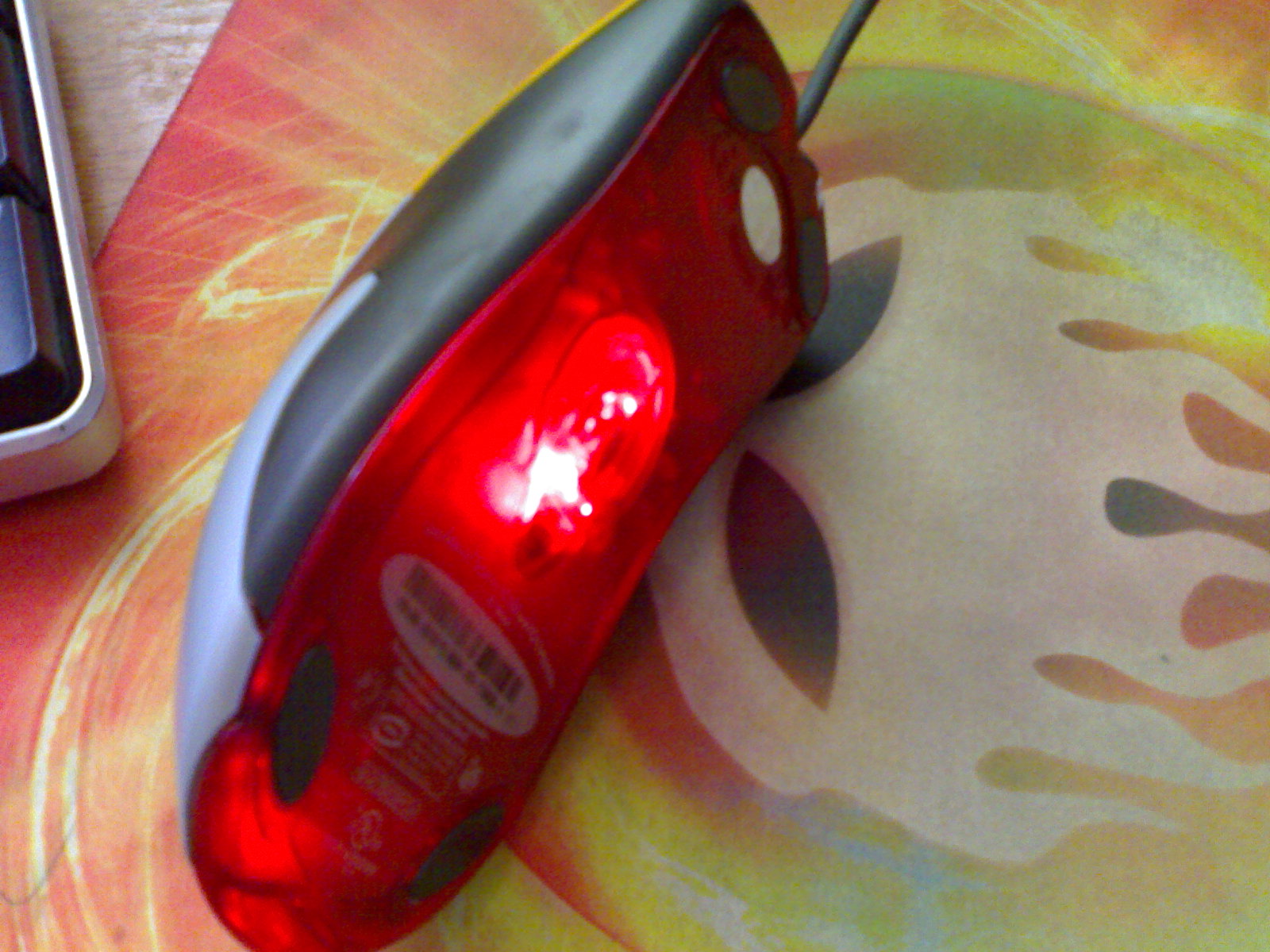 20100725033.jpg