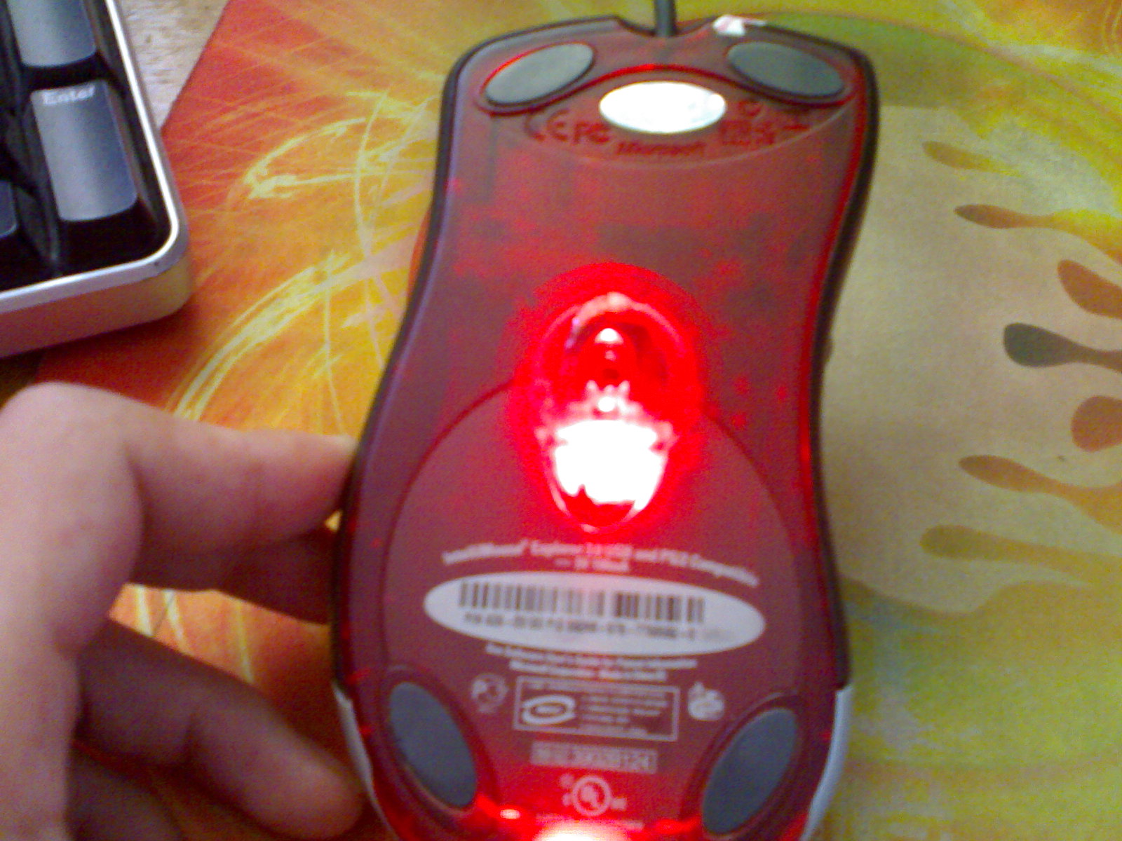 20100725034.jpg