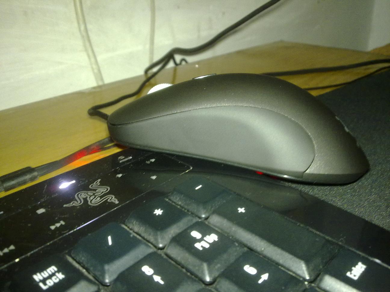 ��һ��9.5��kinzu������ͼ�˰�~~~