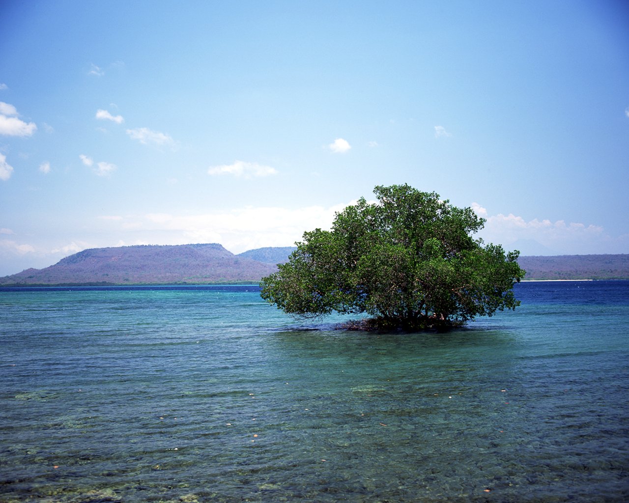 Bali_02072.jpg