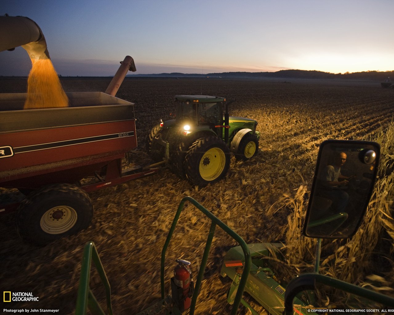 corn.jpg