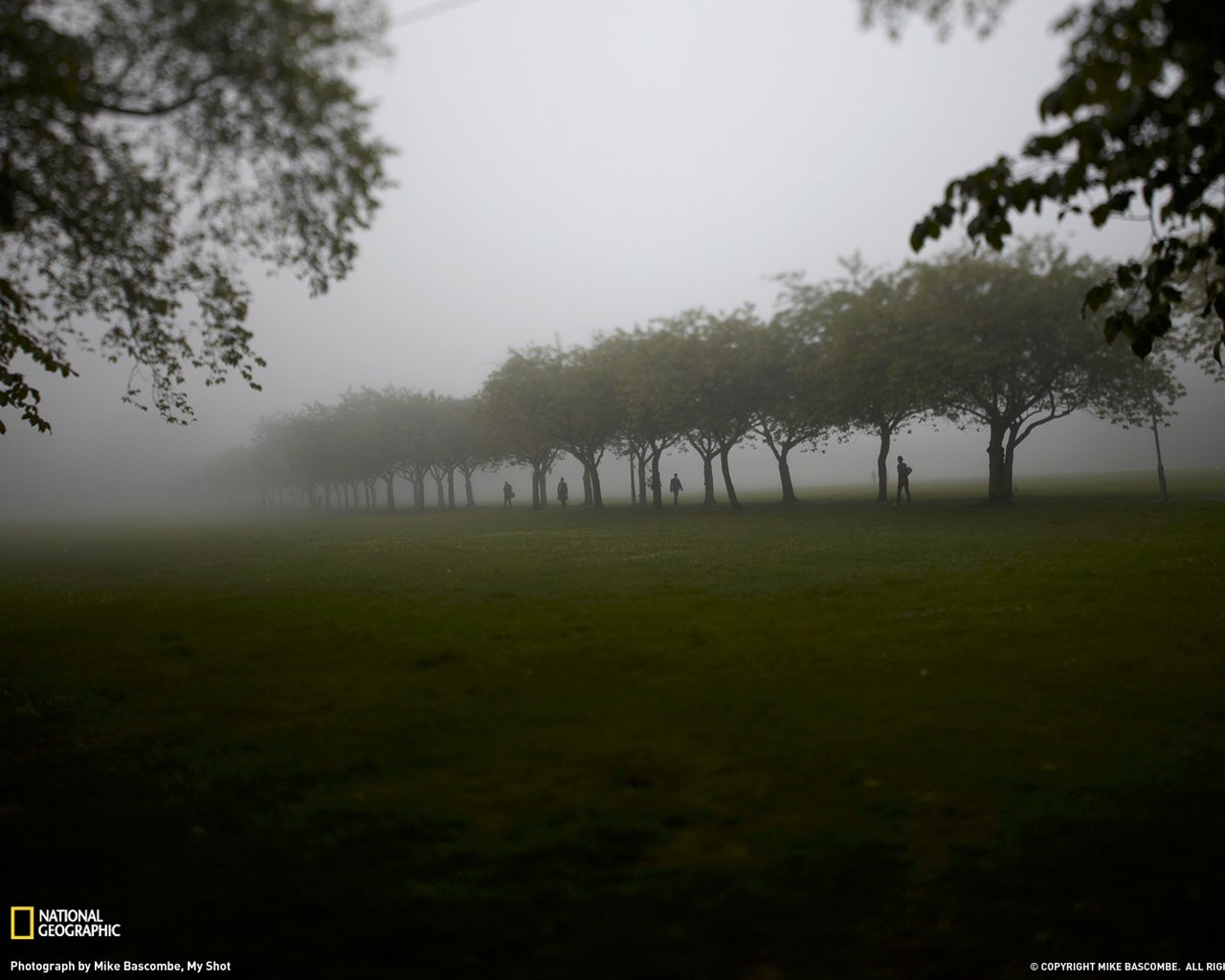 meadows.jpg
