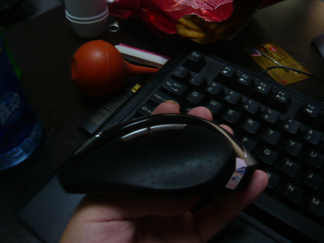P1050633.JPG