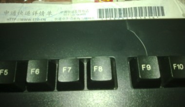 �˲�PLUM����̡�  �����������ʱ�����ˣ�