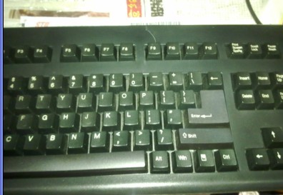 �˲�PLUM����̡�  �����������ʱ�����ˣ�