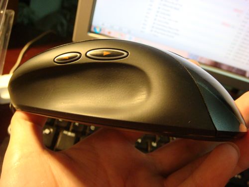 nEO_IMG_DSC00256.jpg