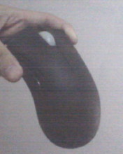 IMG0195A.jpg