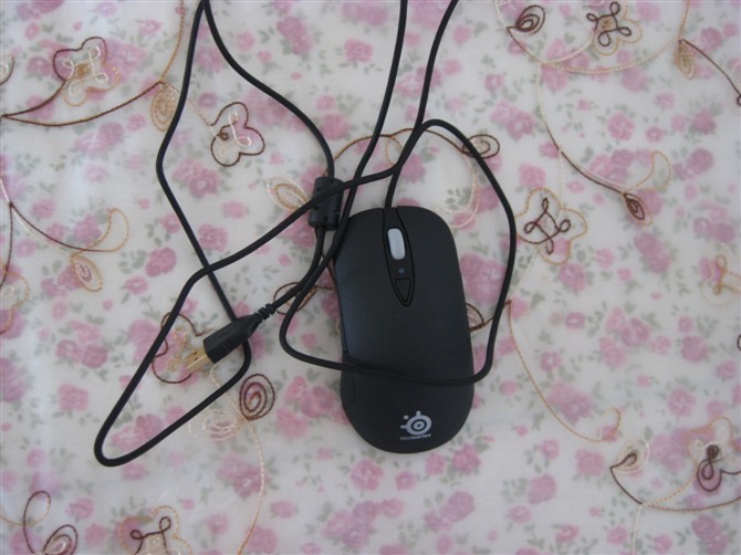 480���ʳ�XAI