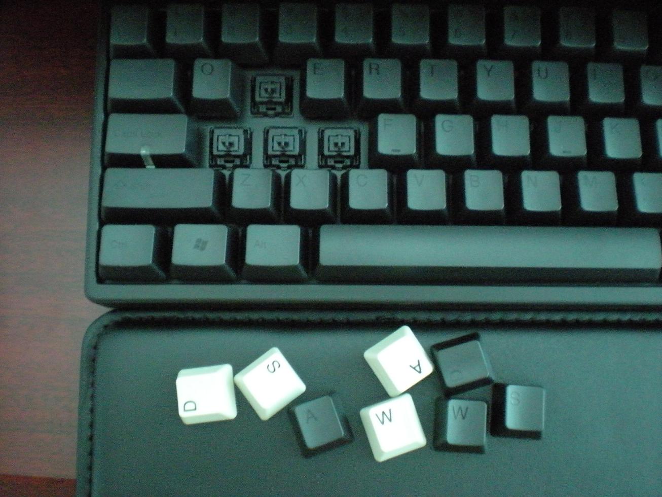 DSCN1087.JPG