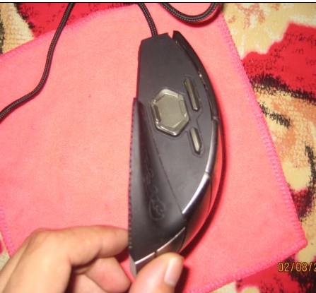 ��������wowħ��ר�����һֻ