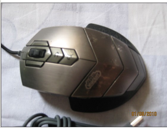 ��������wowħ��ר�����һֻ