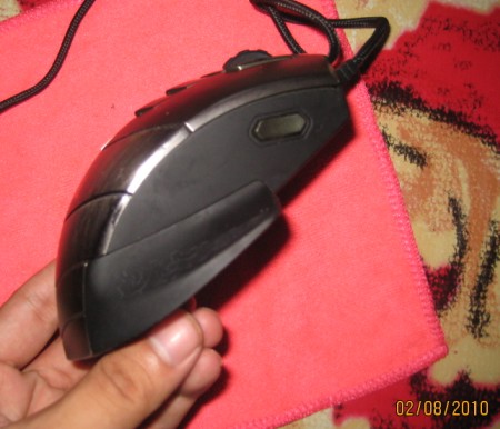 ��������wowħ��ר�����һֻ