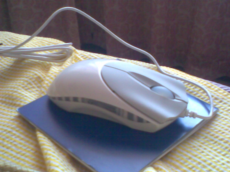 ͼ��072.jpg