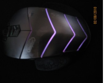 ��������wowħ��ר�����һֻ