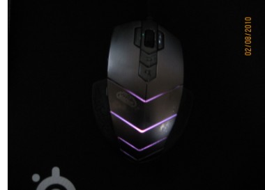 ��������wowħ��ר�����һֻ