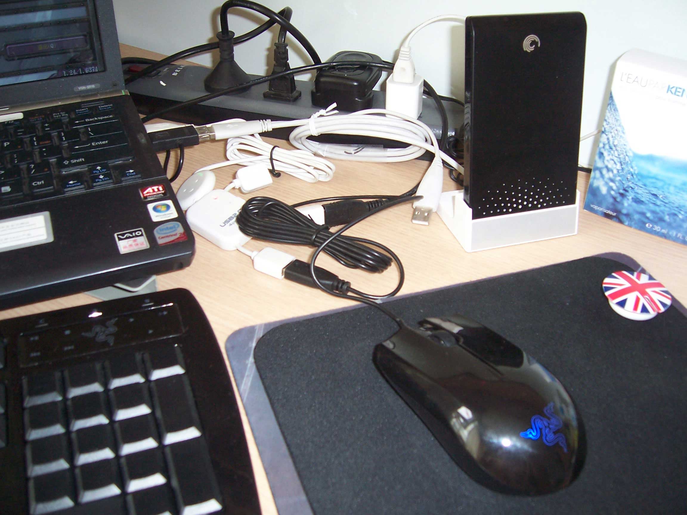 100_3681ppss.jpg