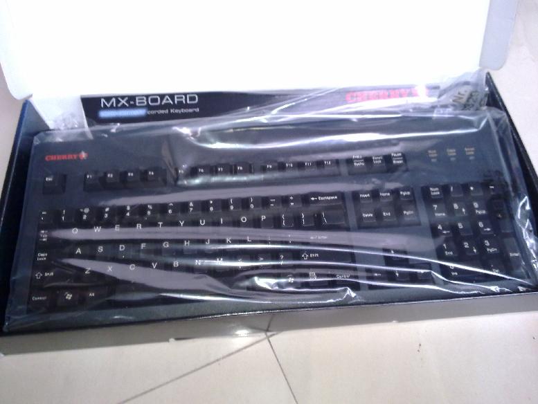20100806107.jpg