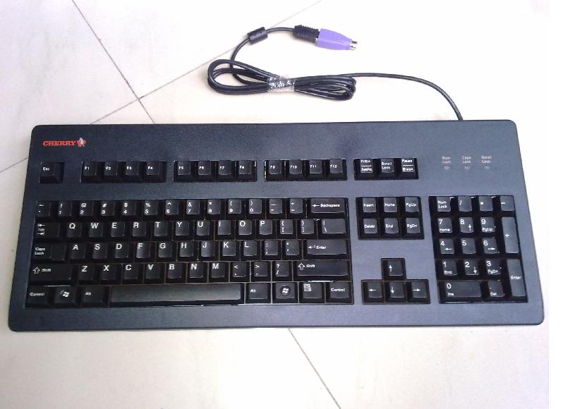 20100806109.jpg