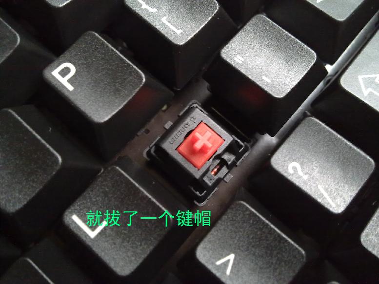 20100806116.jpg