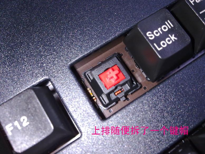 20100806114.jpg