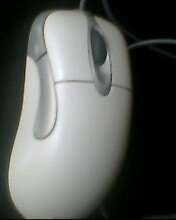 IMG0606A.jpg