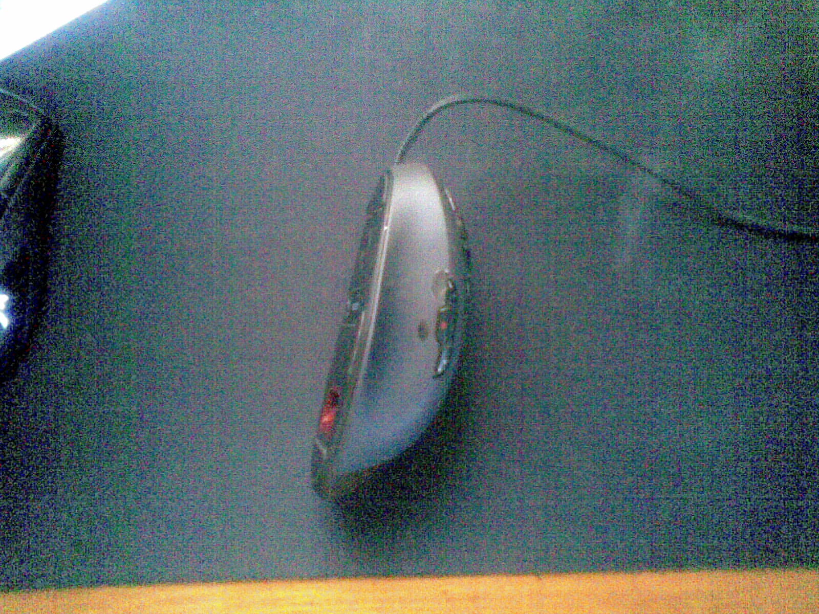 20100807(002).jpg