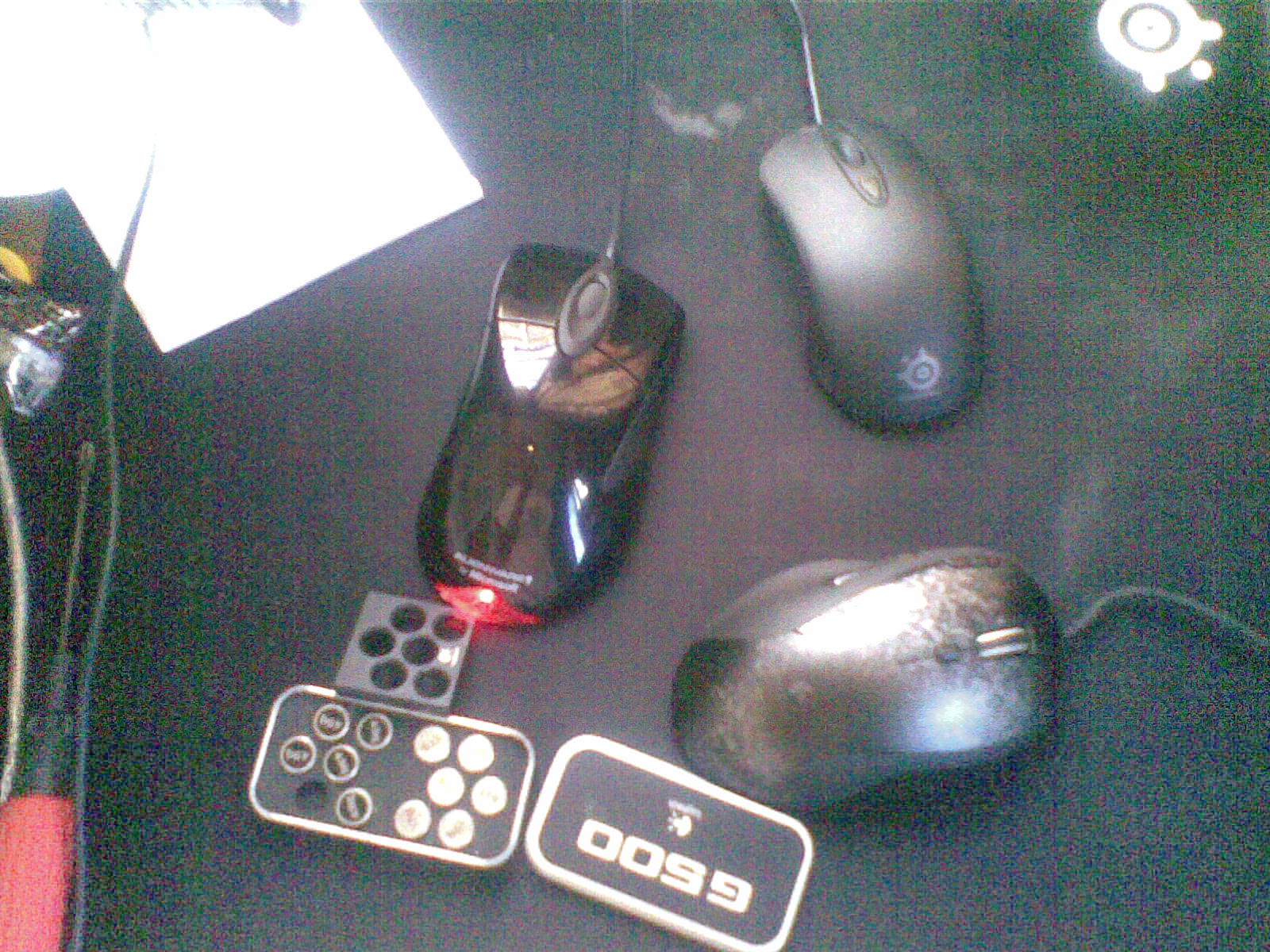 20100807(005).jpg
