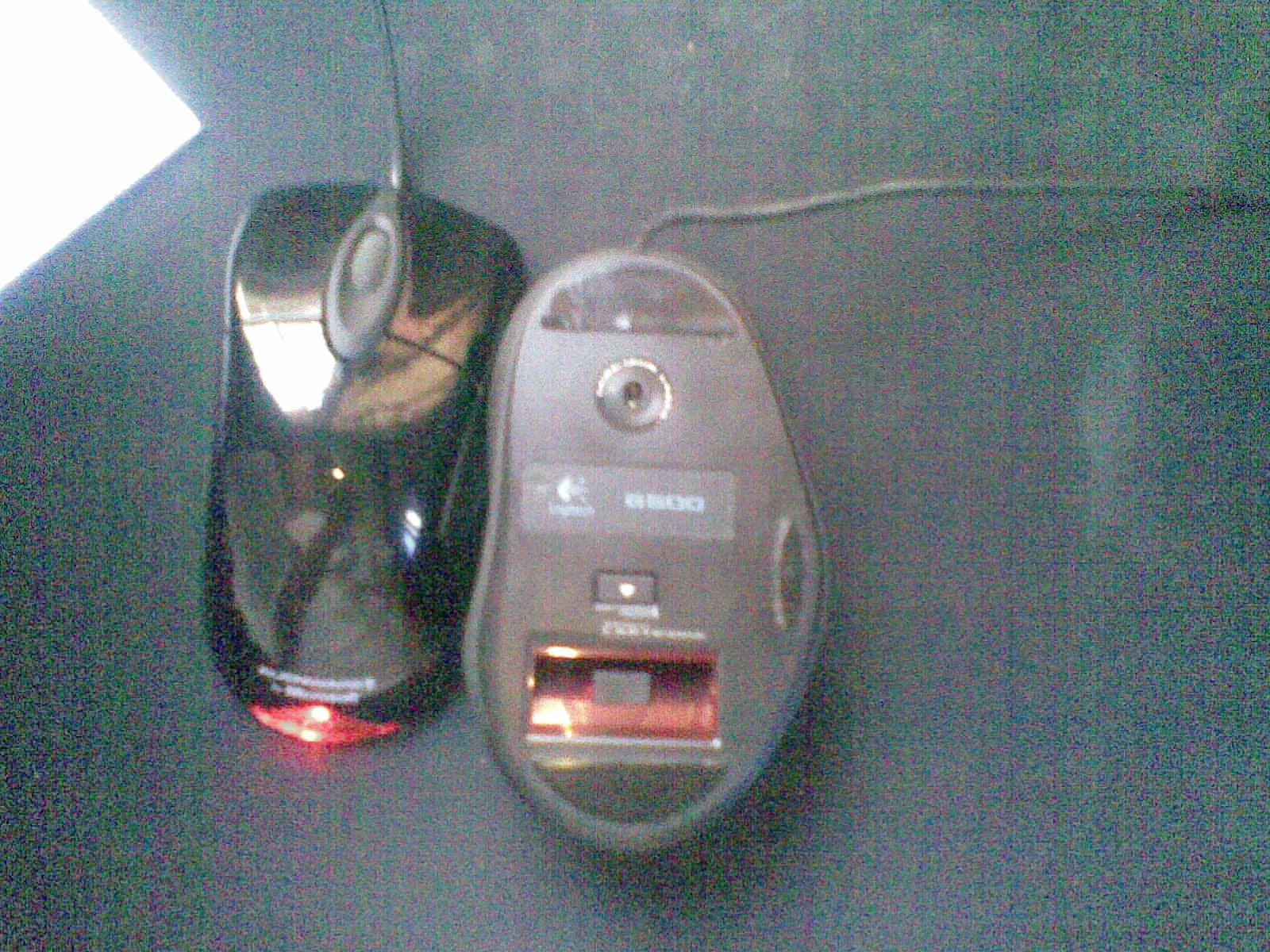 20100807(004).jpg