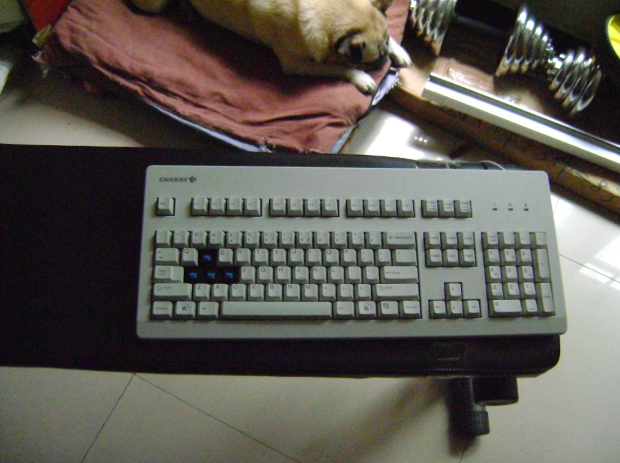 ���������� 3000���� ��3494����ͼ�� �����ѳ�