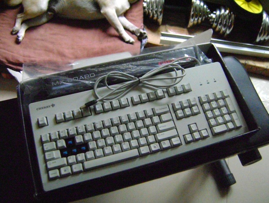 ���������� 3000���� ��3494����ͼ�� �����ѳ�